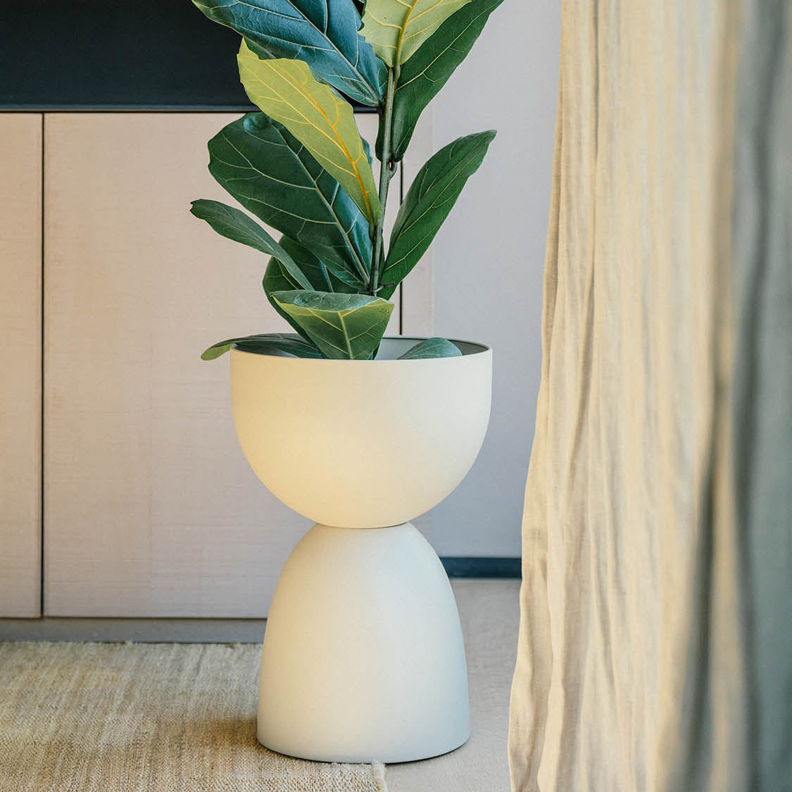 palma pot