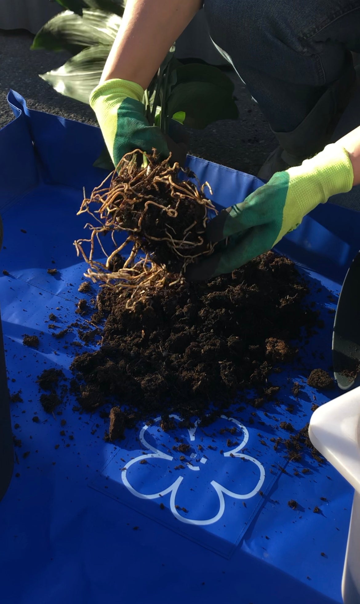 repotting mat