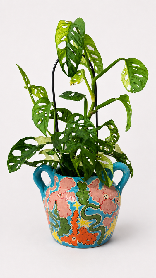 peach-face pot flower-power'2
