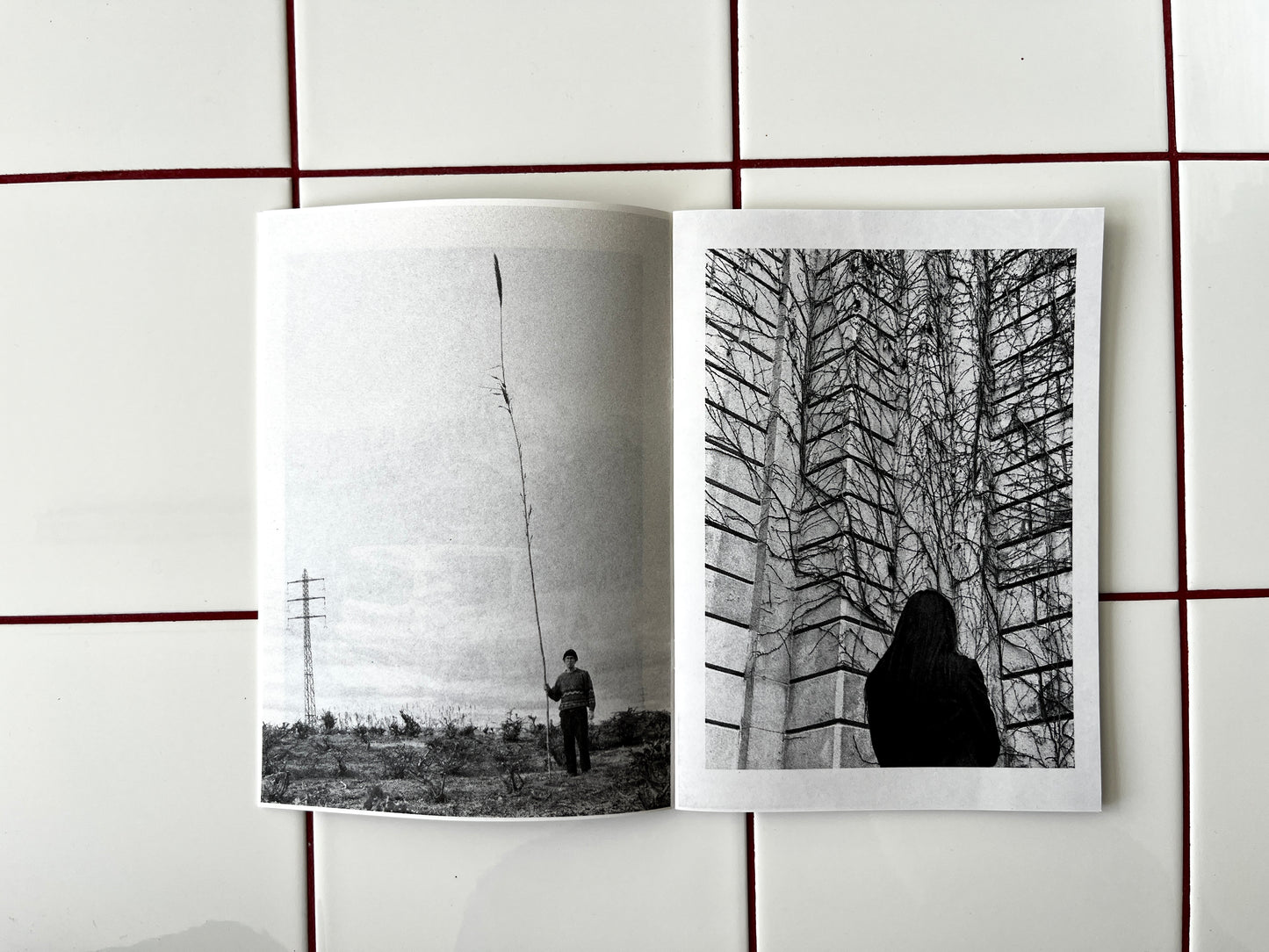 Plant Büro Zine, v. 1
