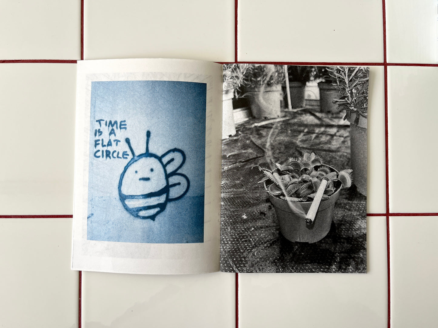 Plant Büro Zine, v. 1