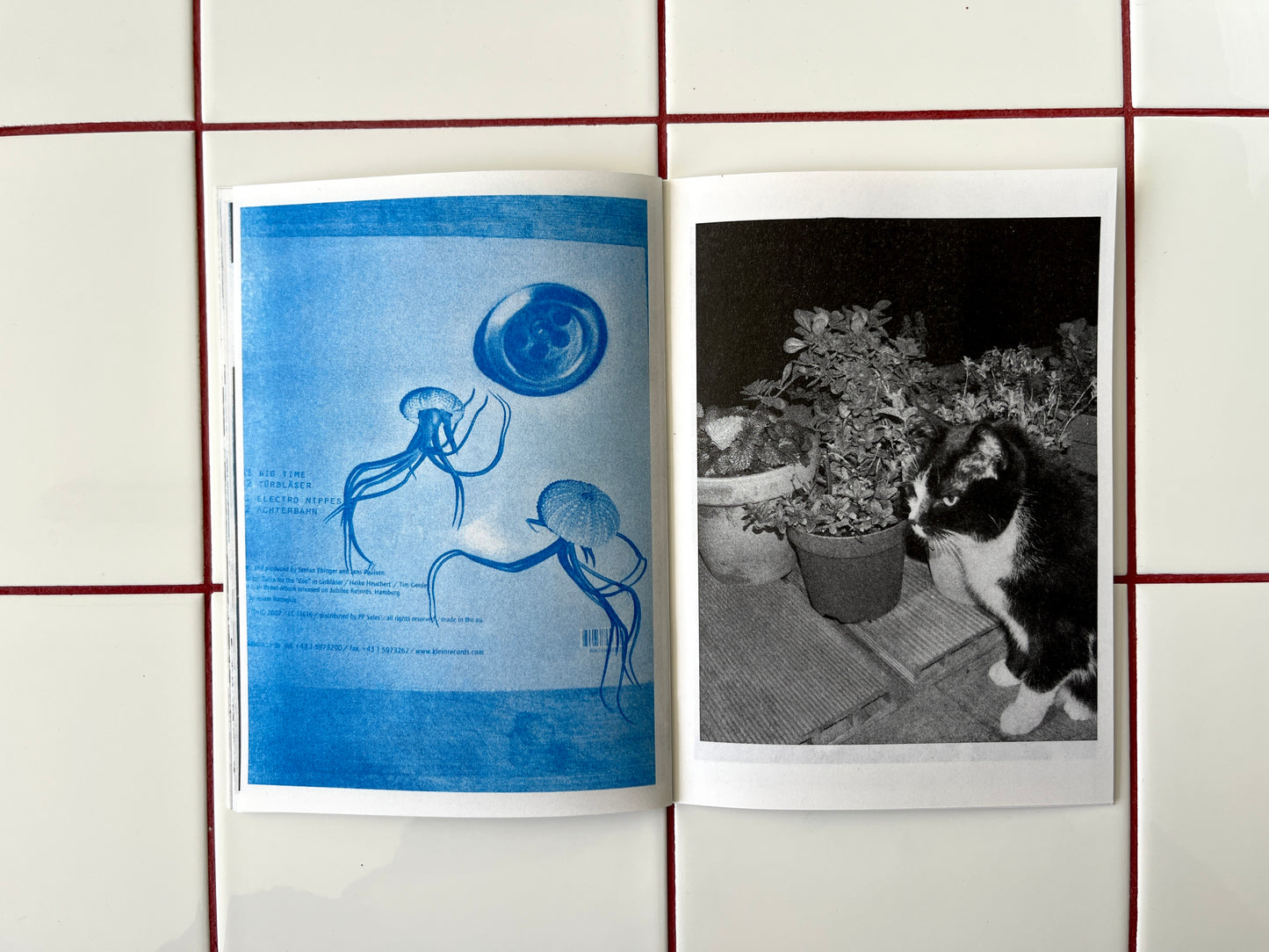 Plant Büro Zine, v. 1