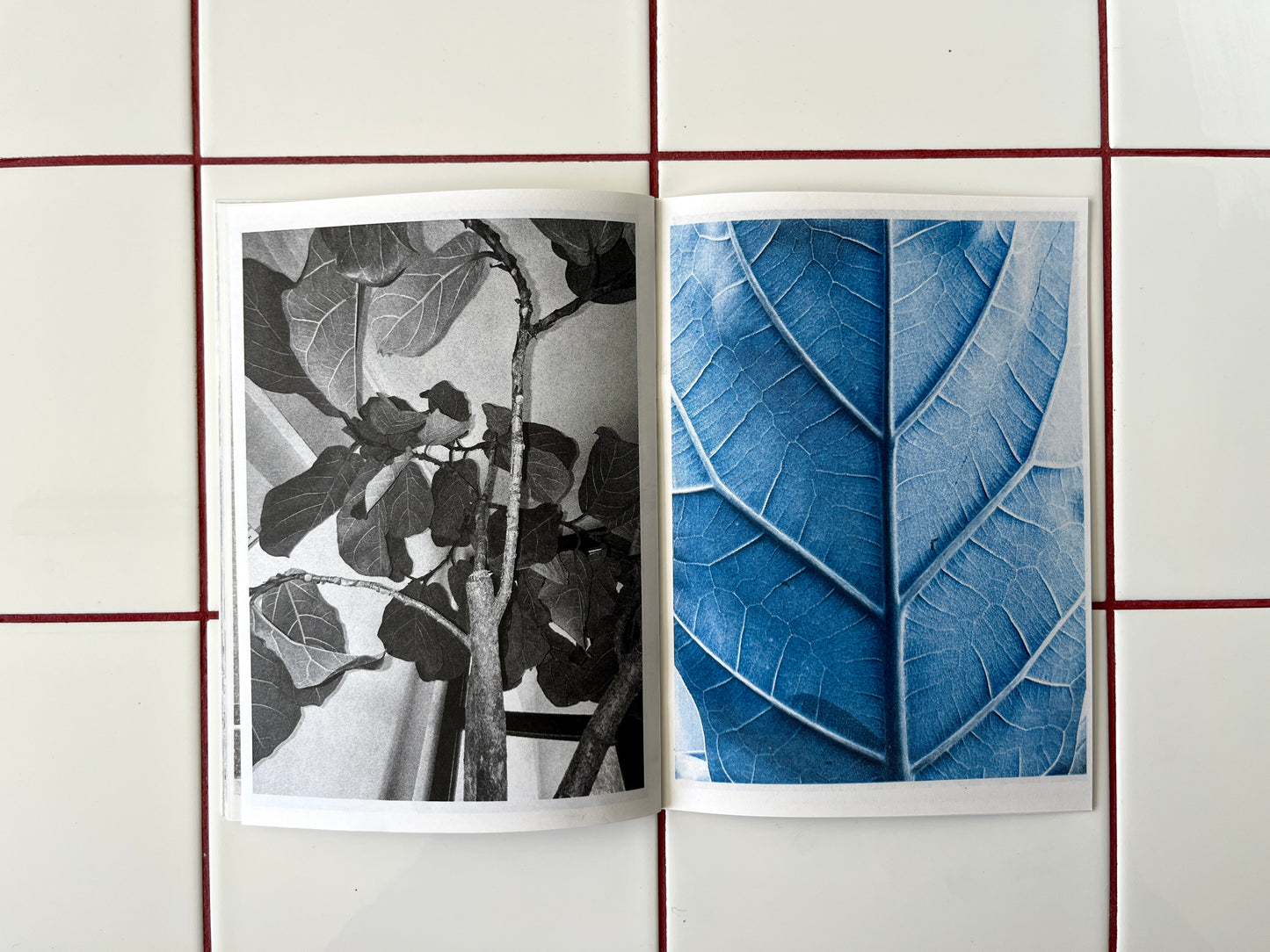 Plant Büro Zine, v. 1