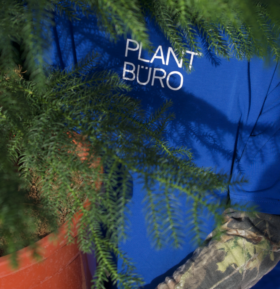 Arbol de Navidad {vivo-grande}