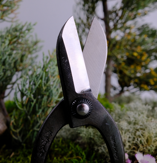 japan ikebana scissors