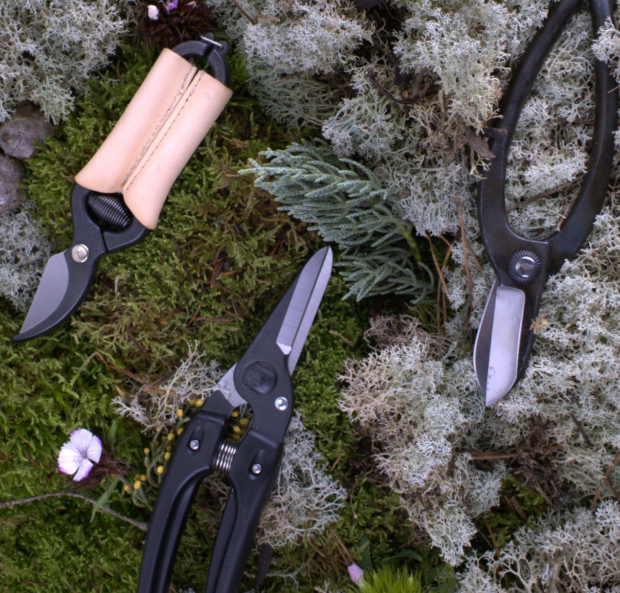 tijeras ikebana japonesas