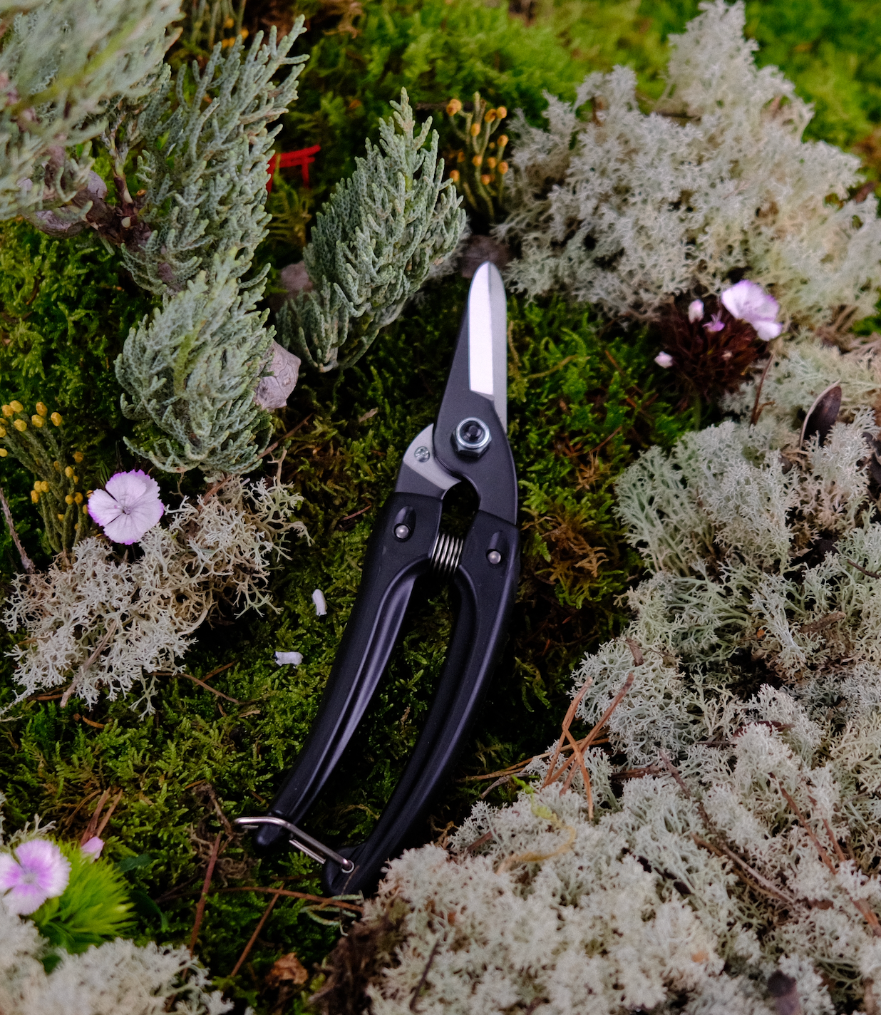 Tijeras de podar japonesas ARS