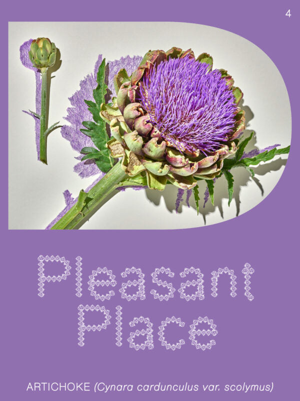 Pleasant Place magazine 1-8