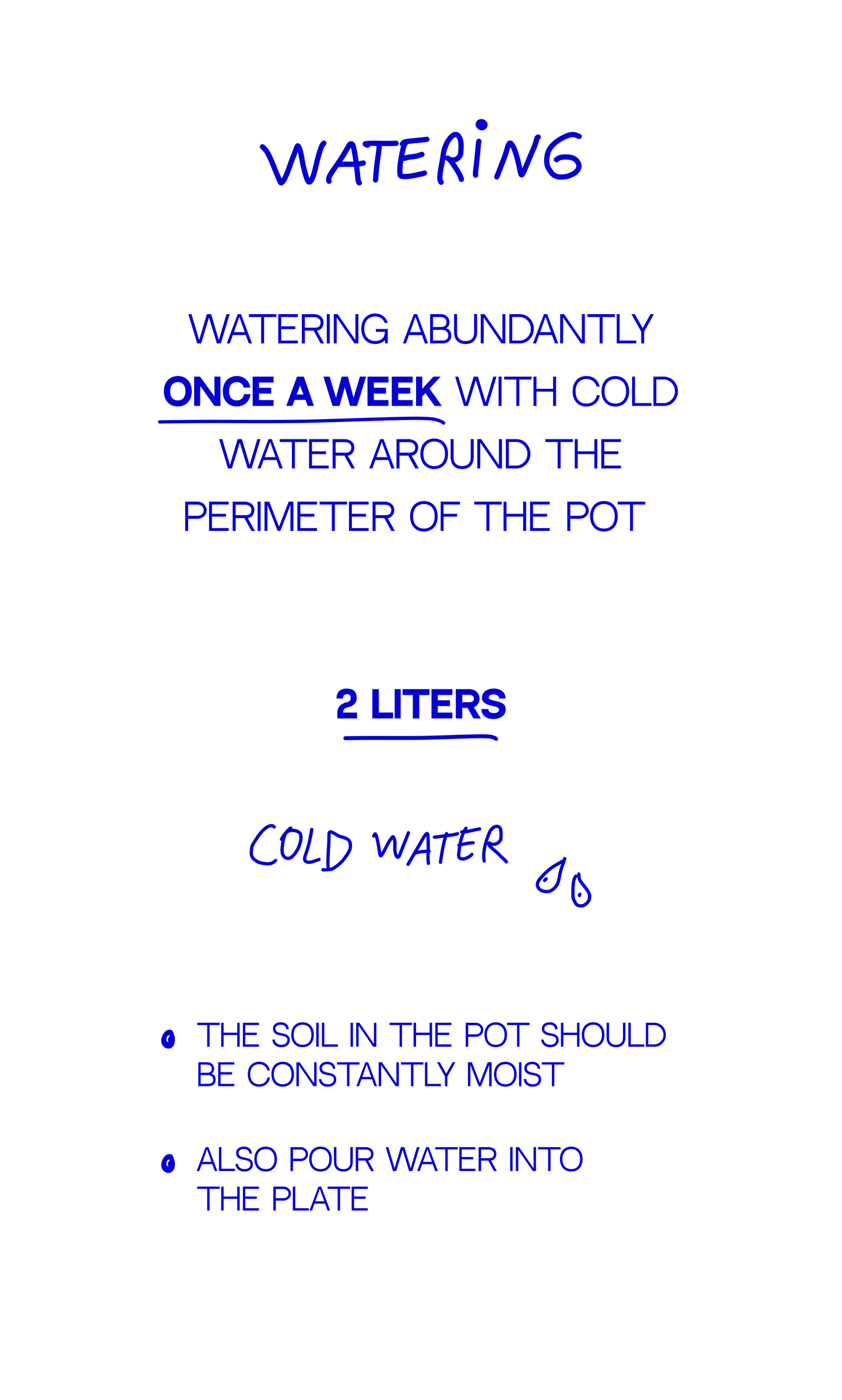 Árbol de Navidad {pequeña}