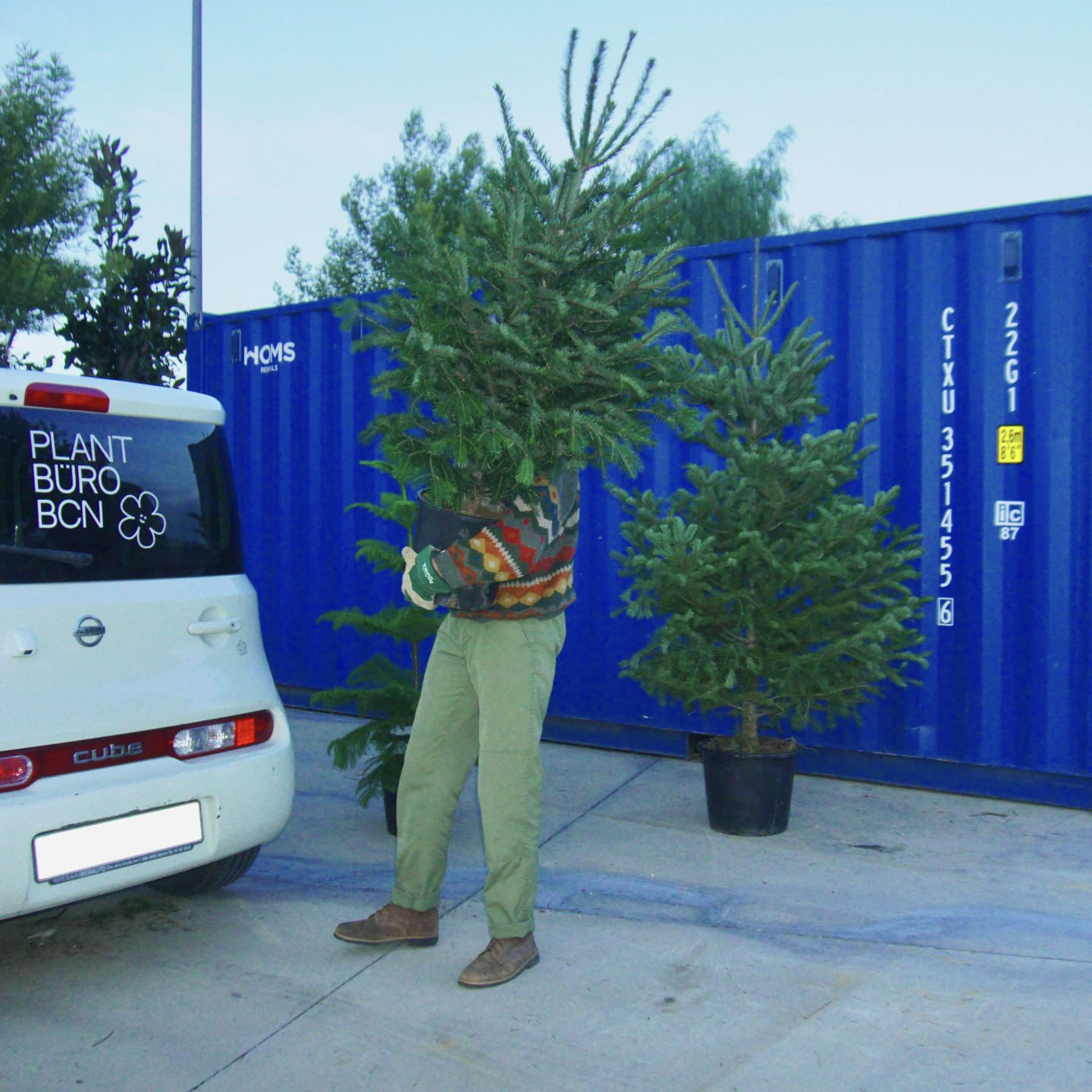 Xmas removal service