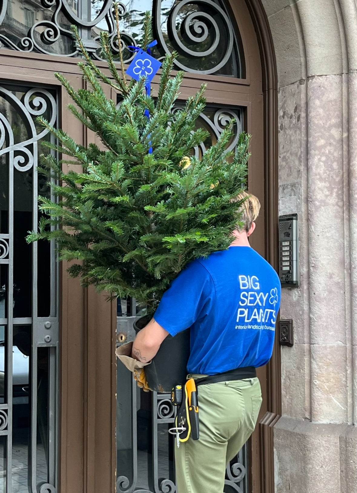 Árbol de Navidad {pequeña}