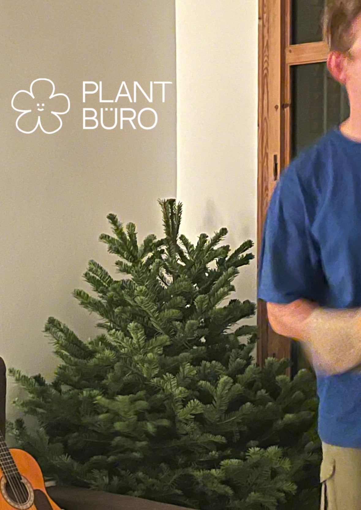 Árbol de Navidad {pequeña}