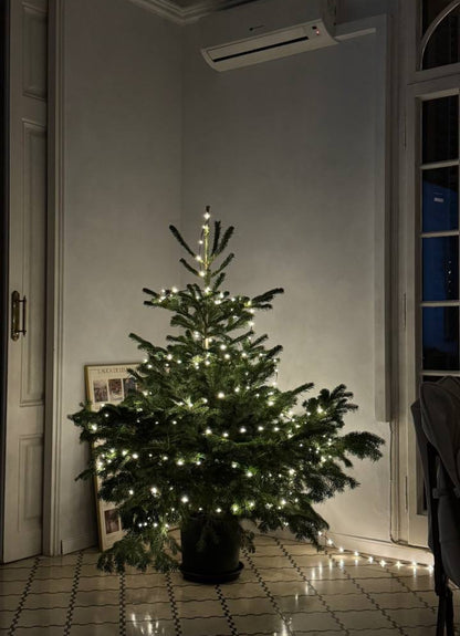 Árbol de Navidad {pequeña}
