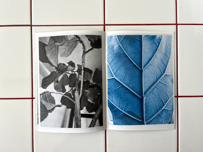 Plant Büro Zine, v. 1