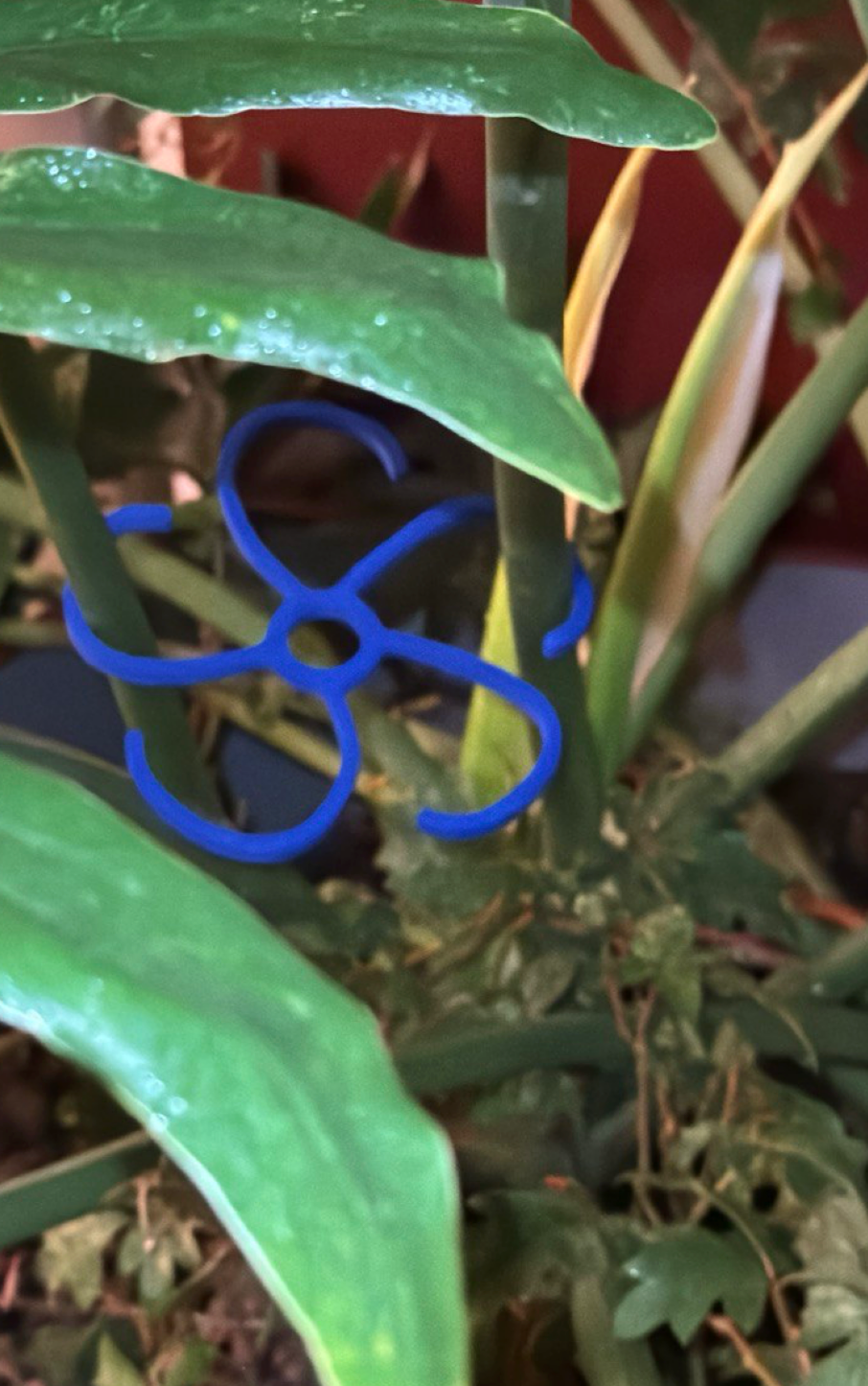 plant support