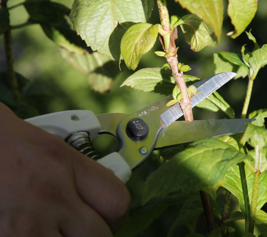 japan secateur ARS black