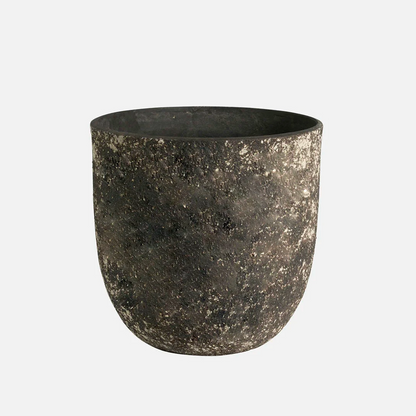 campana sanremo