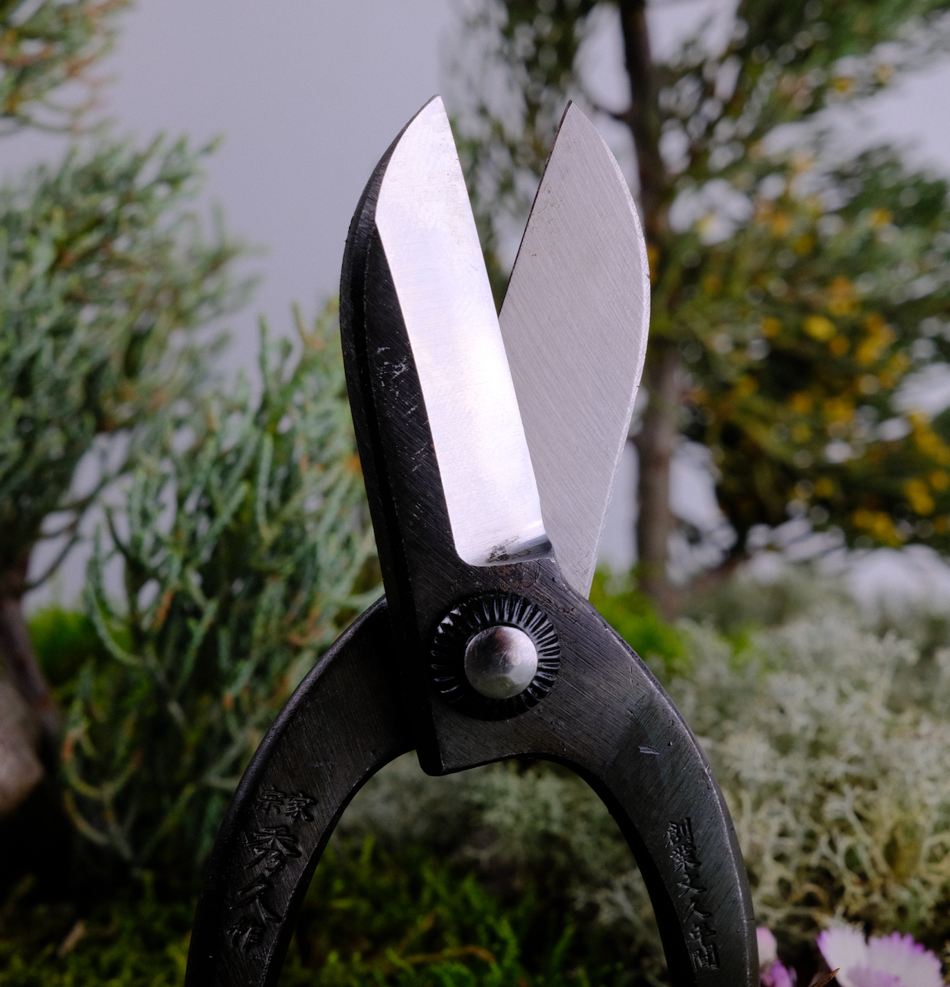 japan ikebana scissors