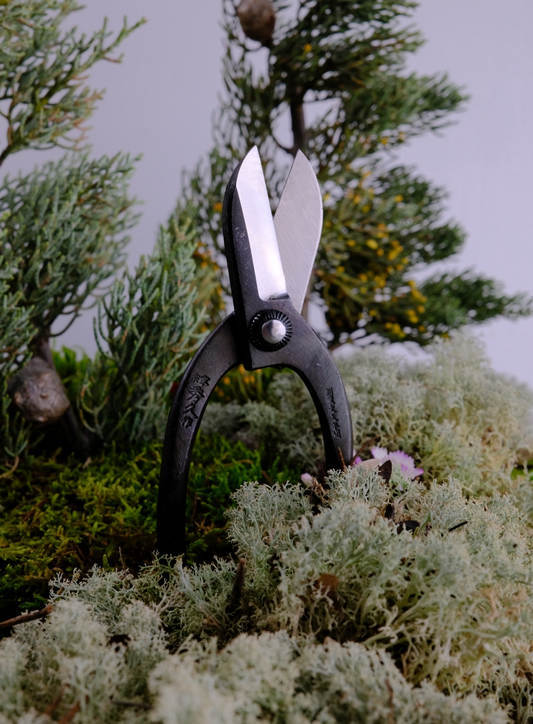 japan ikebana scissors