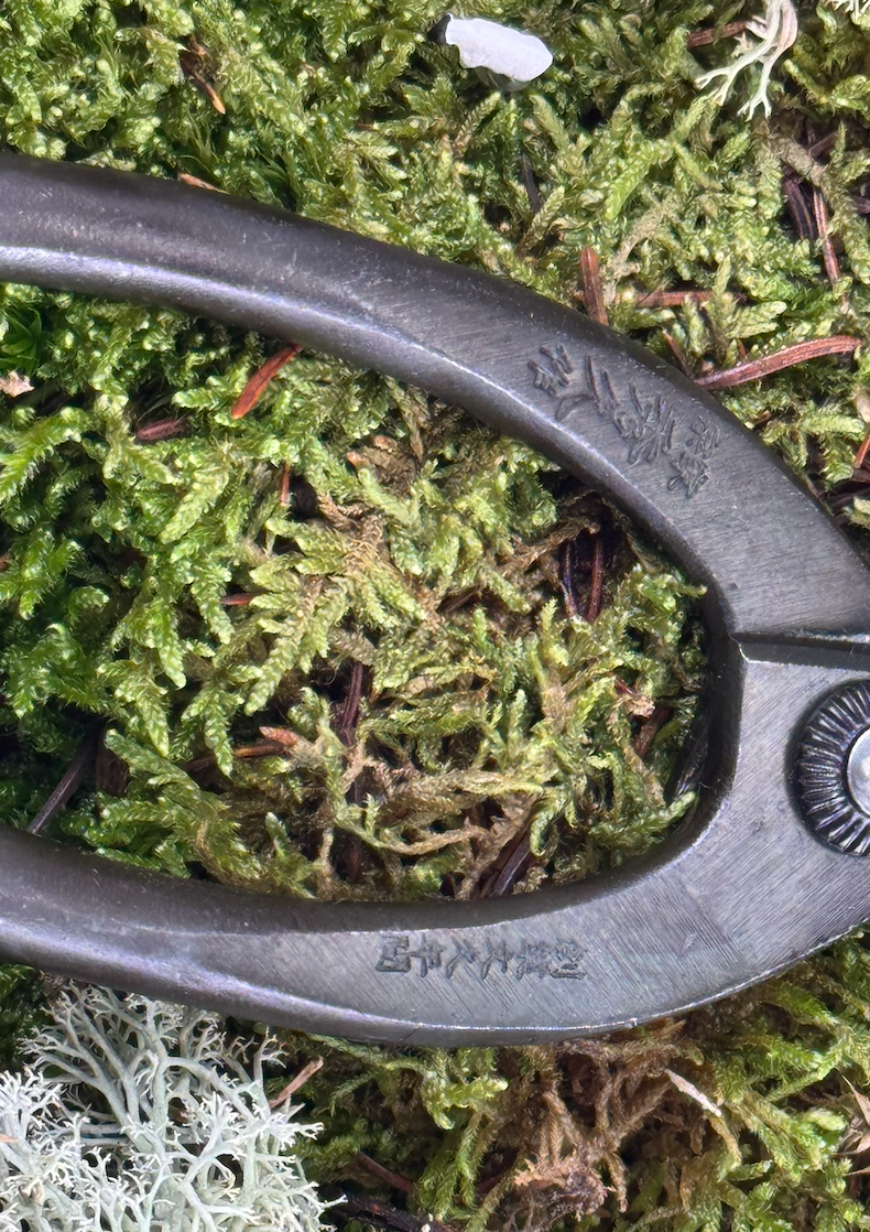 japan ikebana scissors