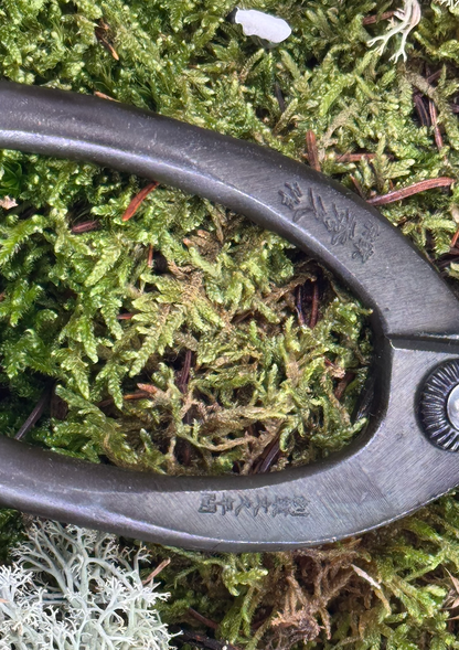 japan ikebana scissors