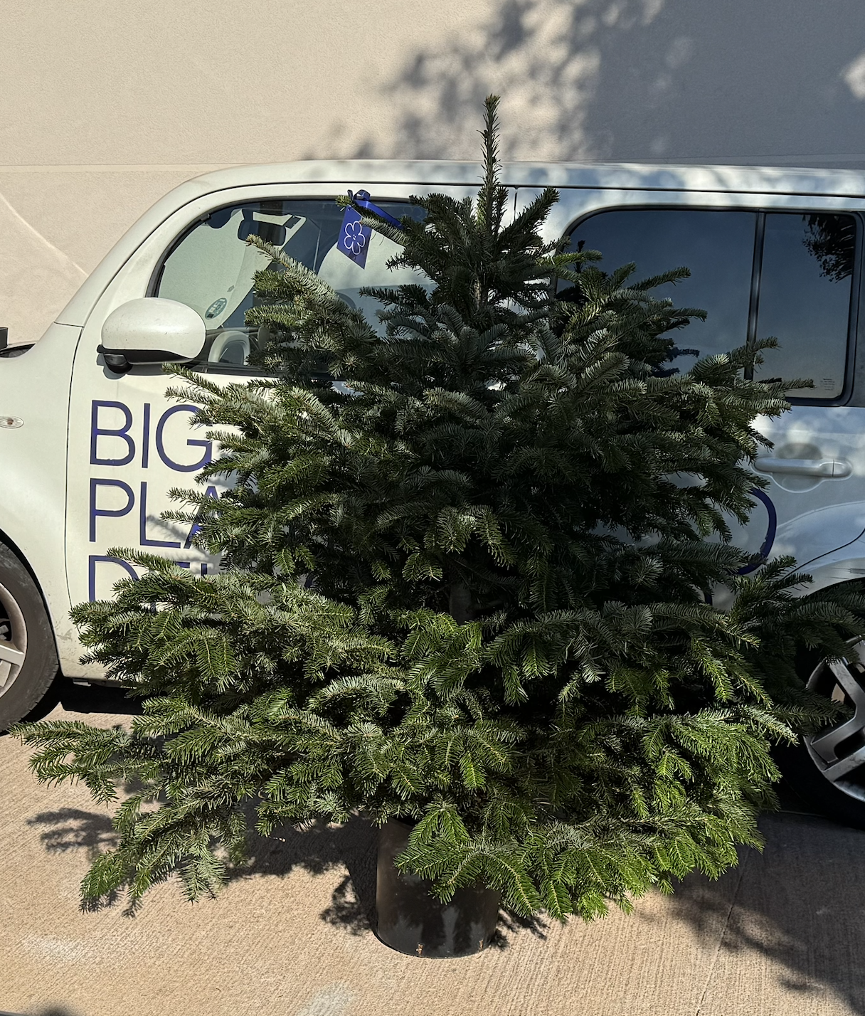 Árbol de Navidad {pequeña}