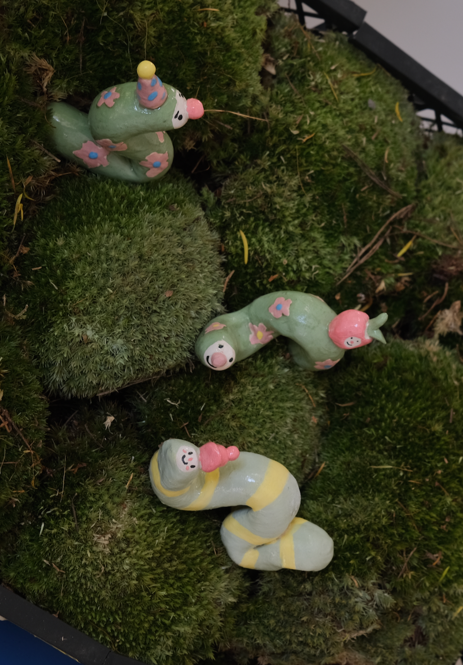 peach-face worms