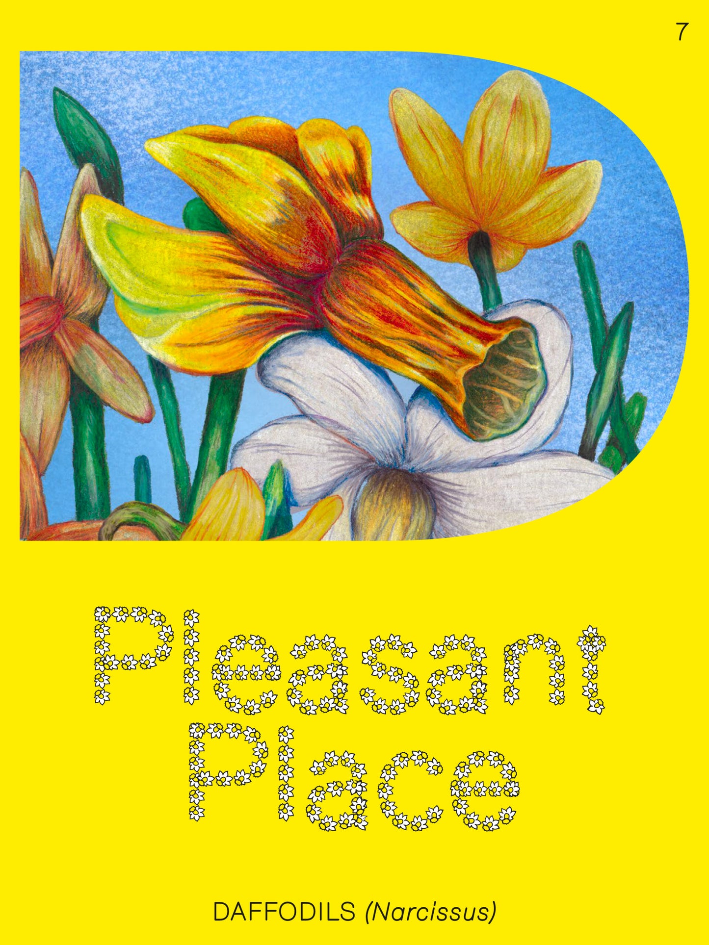 Pleasant Place magazine 1-8